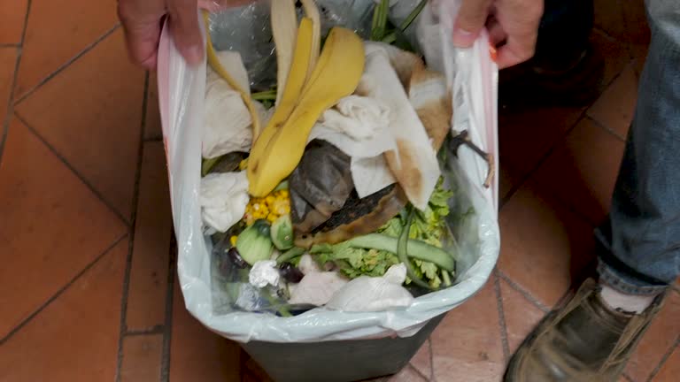 Best Attic Cleanout  in Lynnwood, WA